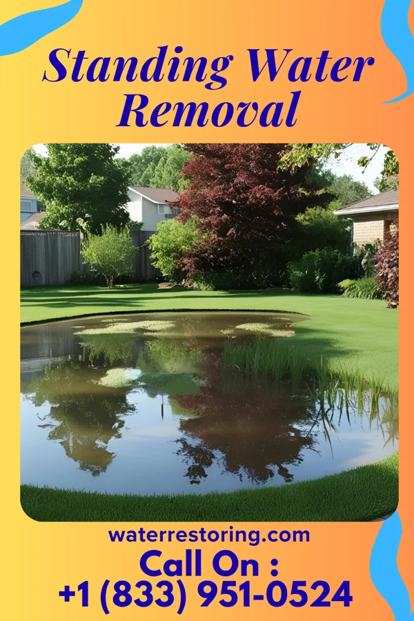Standing Water Removal in Eureka, MO